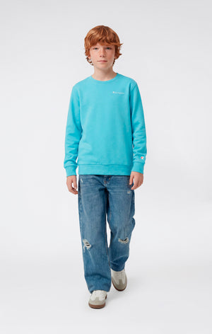 Boys’ Lightweight Crewneck Sweatshirt Icons