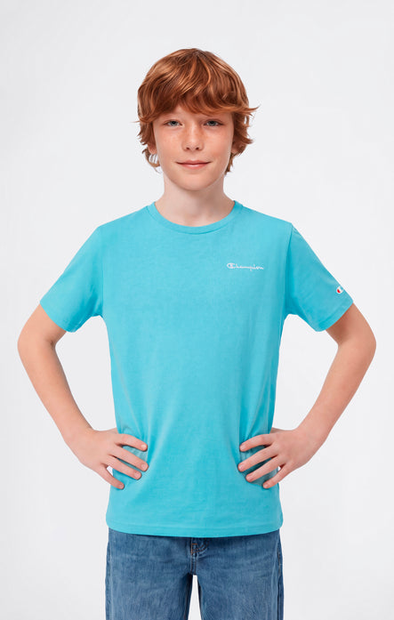 Jungen Rundhals T-Shirt Mit Kleinem Gesticktem Script-Logo Icons