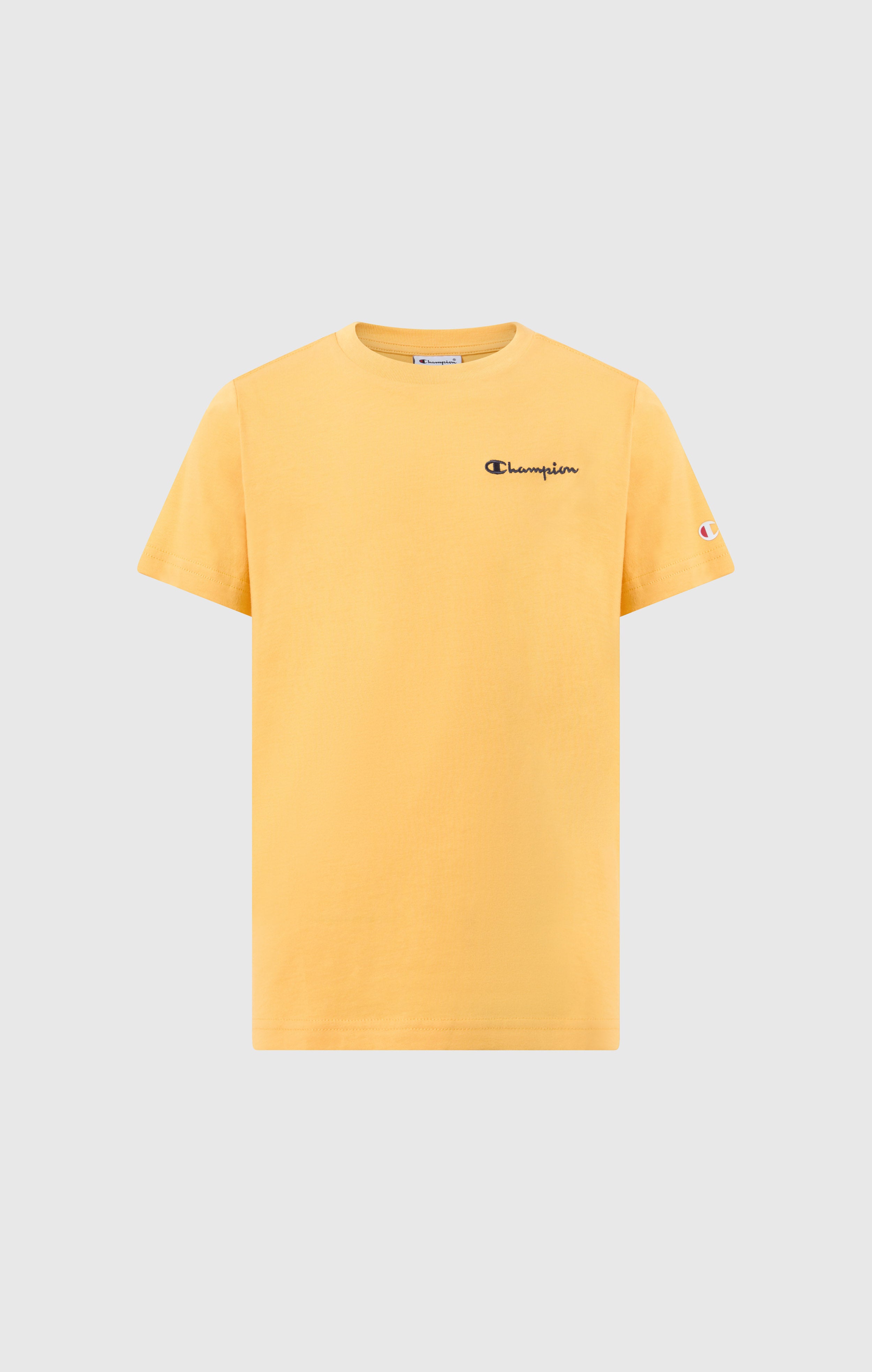 Jungen Rundhals T-Shirt Mit Kleinem Gesticktem Script-Logo Icons