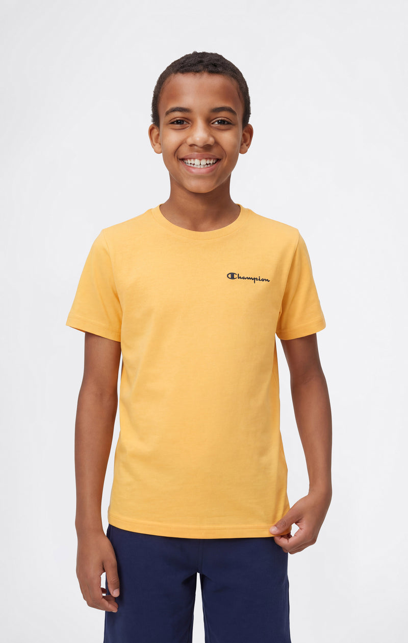Boys’ Crewneck Small Script Logo T-Shirt Icons