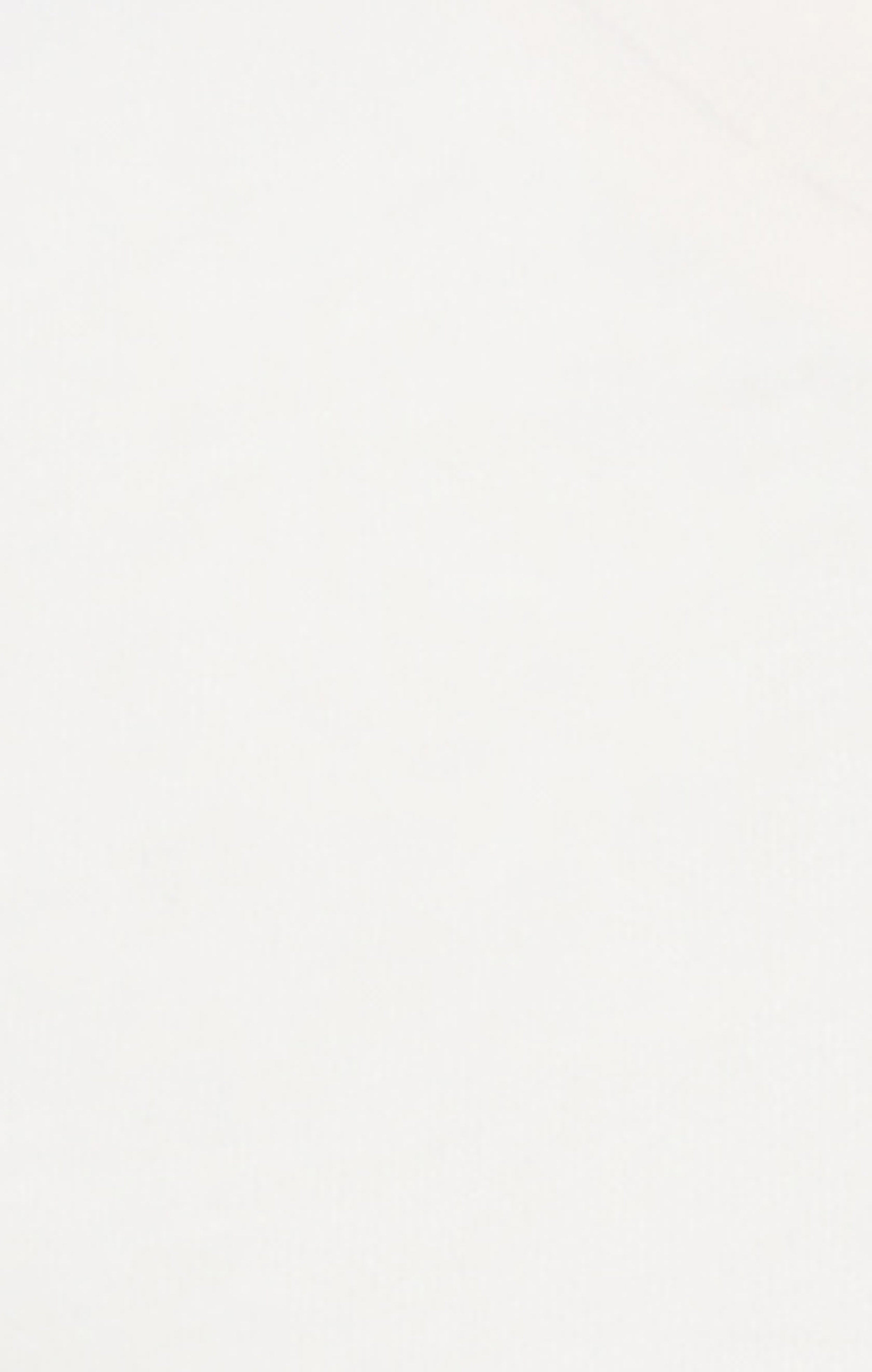 Boys’ Big Logo T-Shirt Icons