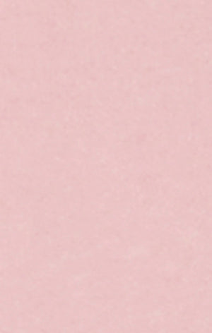 Boys’ Lightweight Hooded Sweatshirt with Maxi Printed Logo