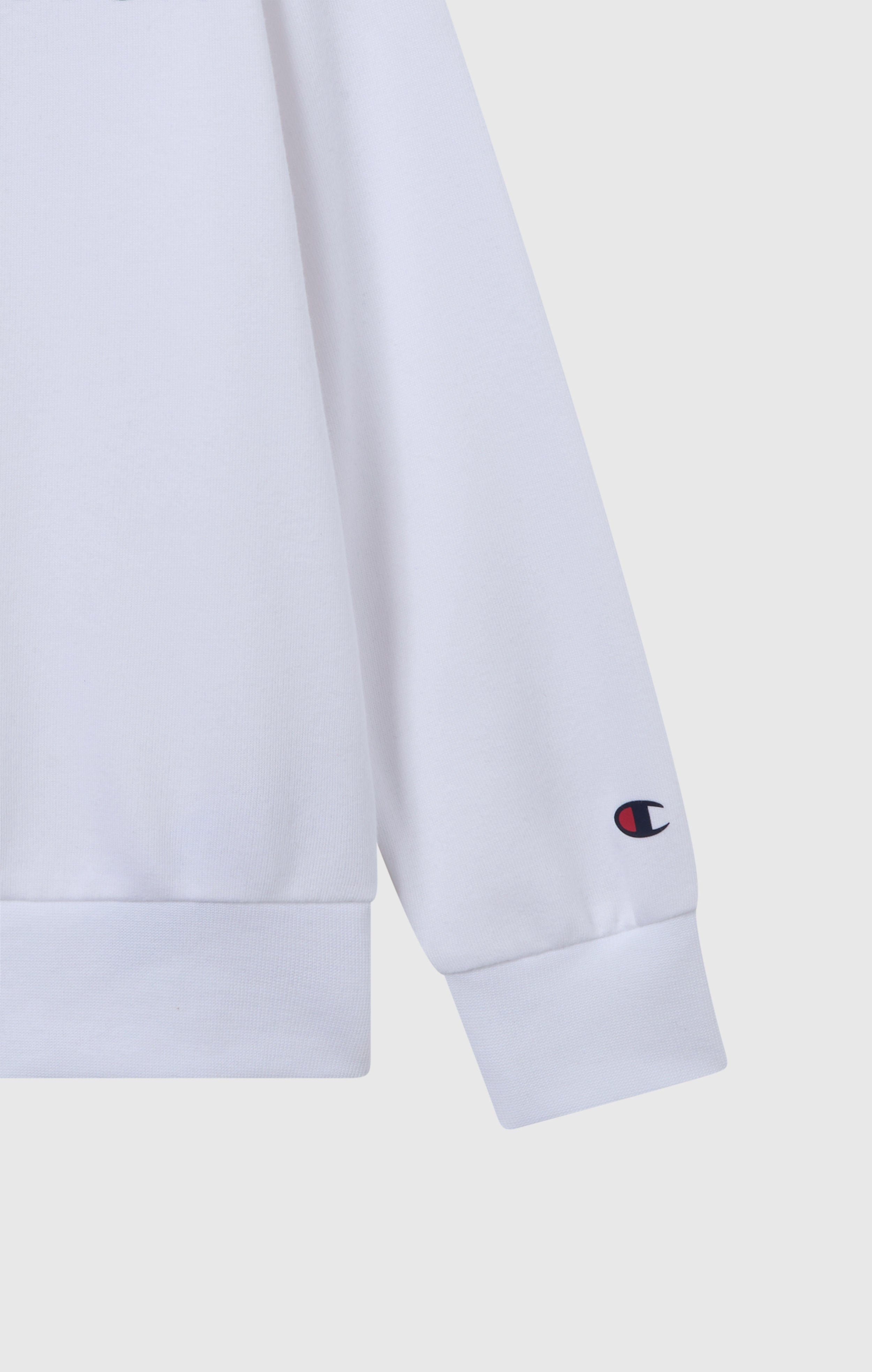 Boys’ Lightweight Crewneck Sweatshirt with Maxi Printed Logo