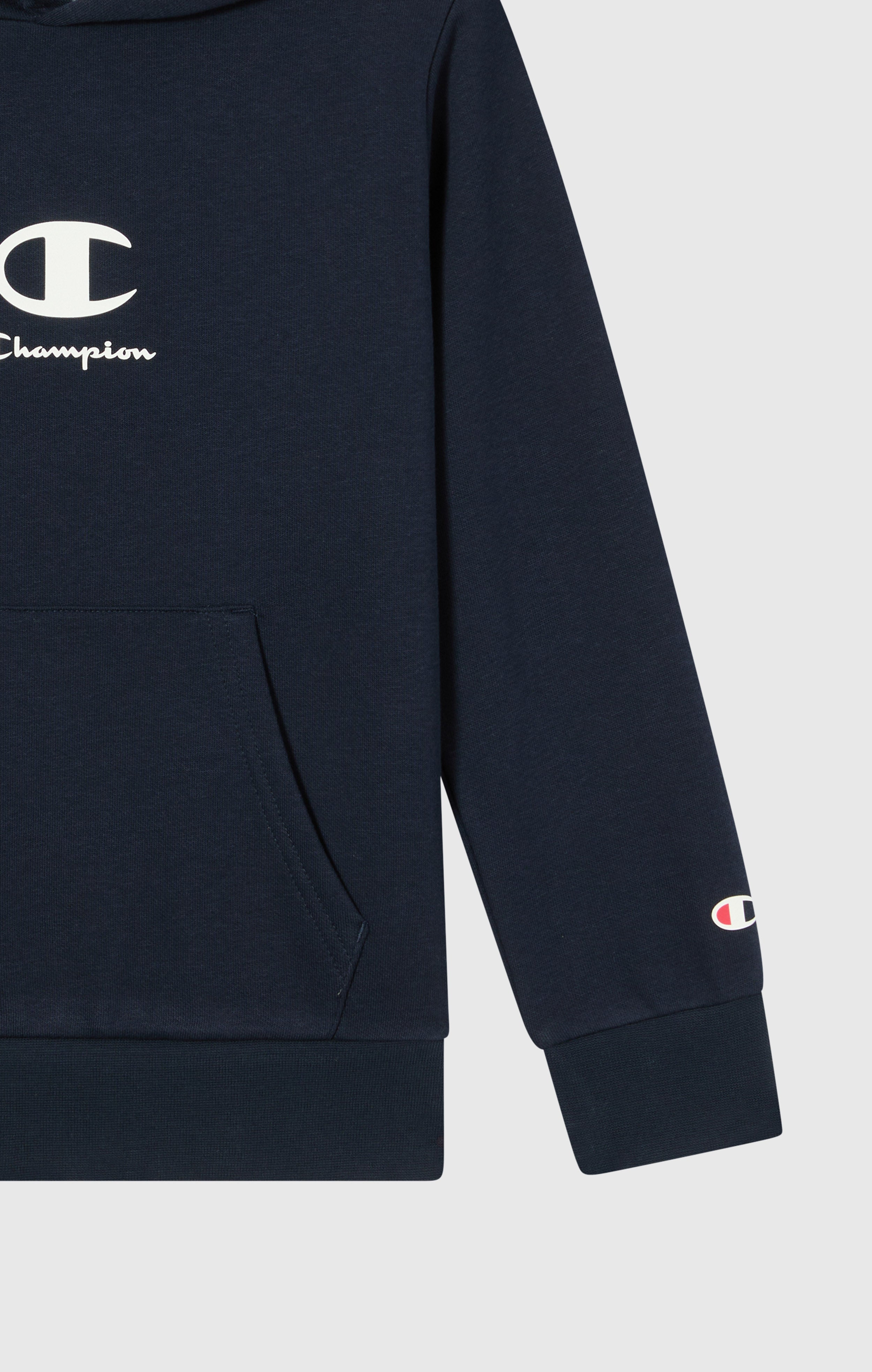 Sweat À Capuche À Intérieur Gratté Garçon