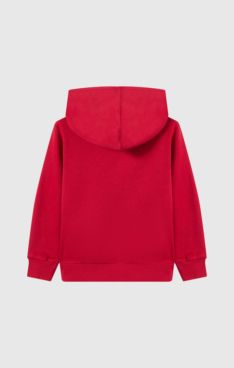 Sweat À Capuche À Intérieur Gratté Garçon