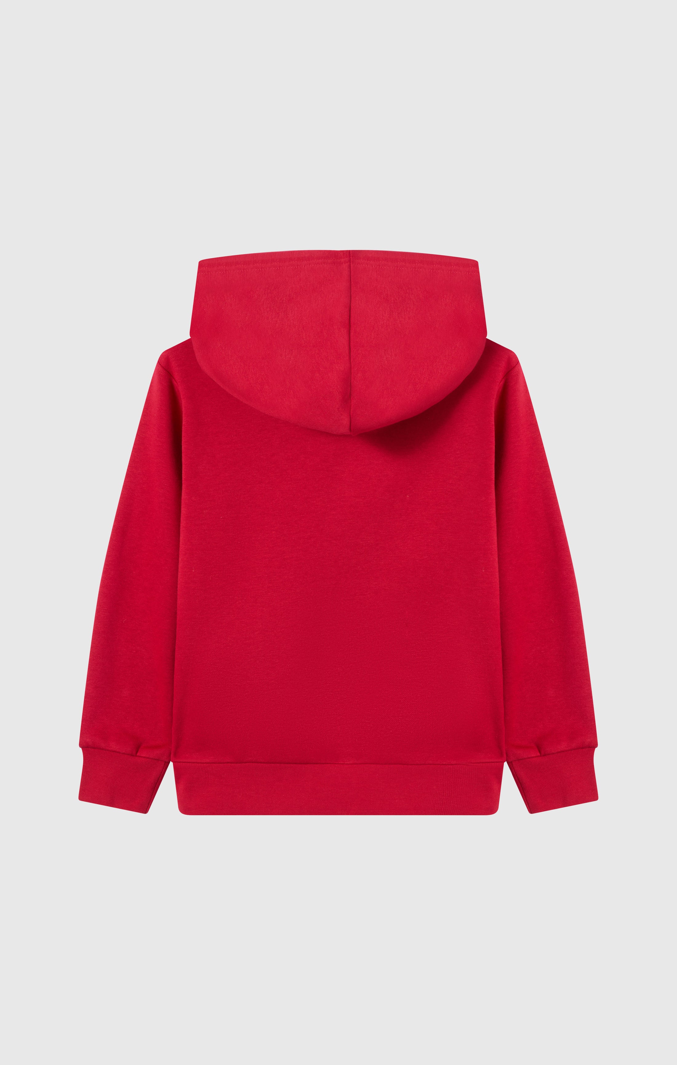 Sweat À Capuche À Intérieur Gratté Garçon