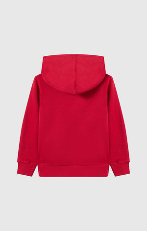 Sweat À Capuche À Intérieur Gratté Garçon