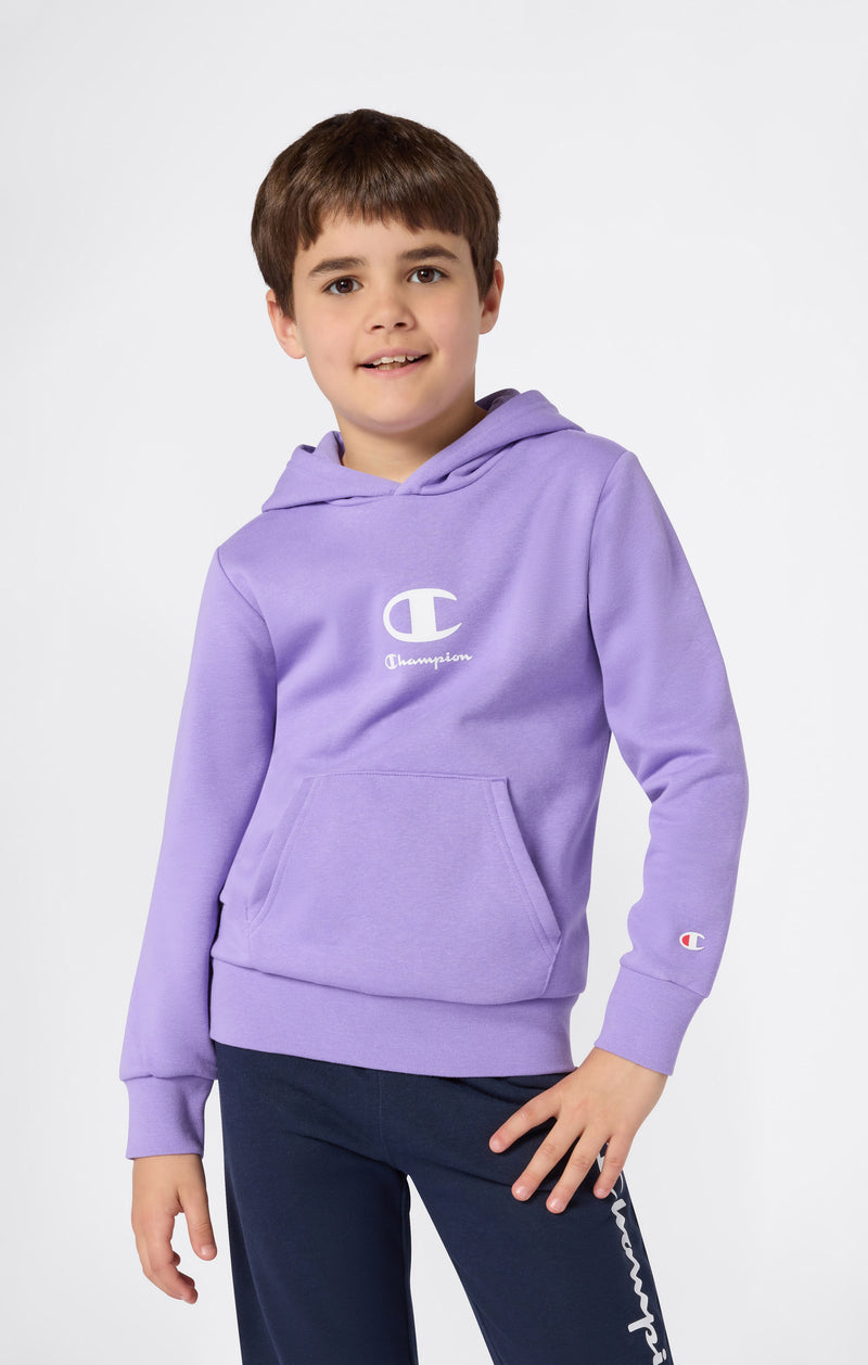Basic Hoodie Champion Pullover Lila Champion Grauer Pulli Champion