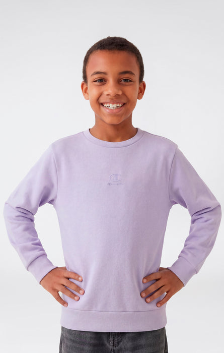 Boys’ Washed Effect Crewneck Sweatshirt Icons