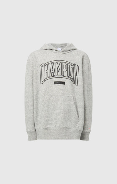 Sweat à capuche avec impression puff pour garçon