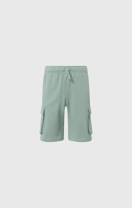 Boys’ Cargo Shorts with Puff Print