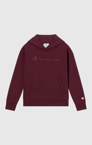 Sweat À Capuche À Intérieur Gratté Avec Grand Logo Brodé Icons Fille