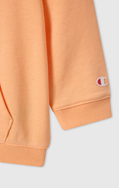 Baby Girl Hoodie and Pants Set