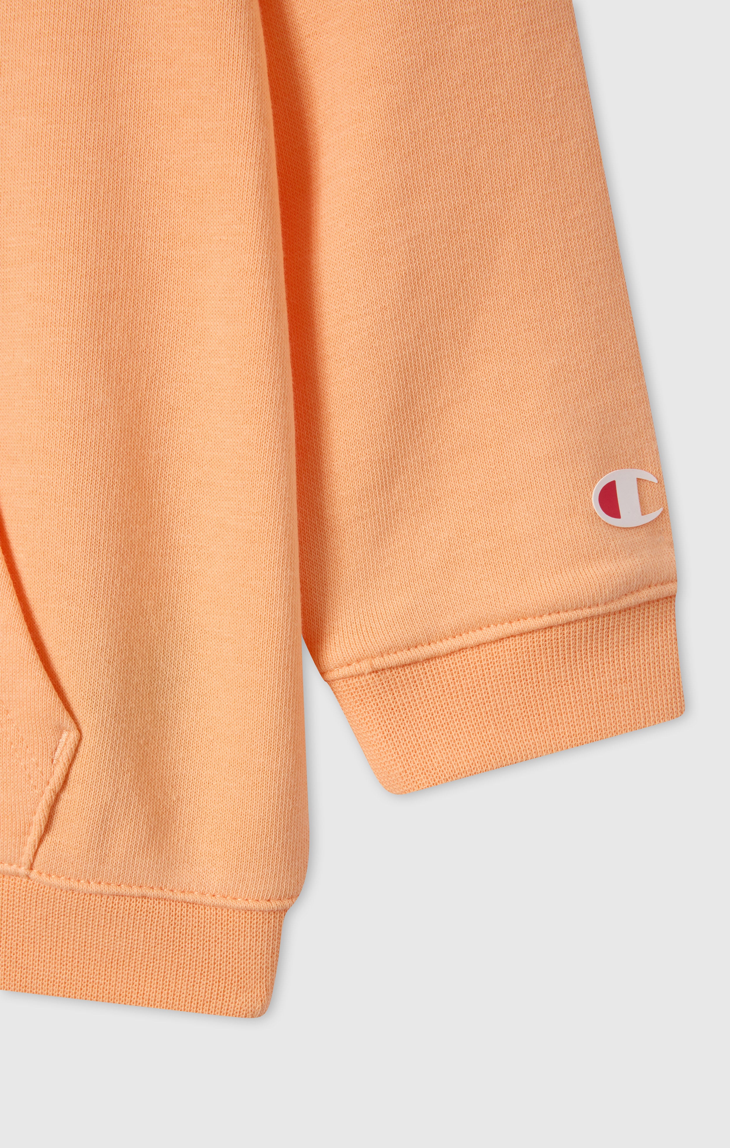 Baby Girl Hoodie and Pants Set