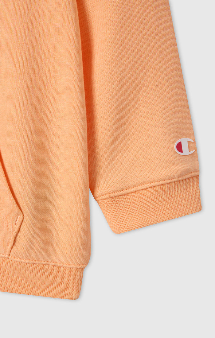 Baby Girl Hoodie and Pants Set