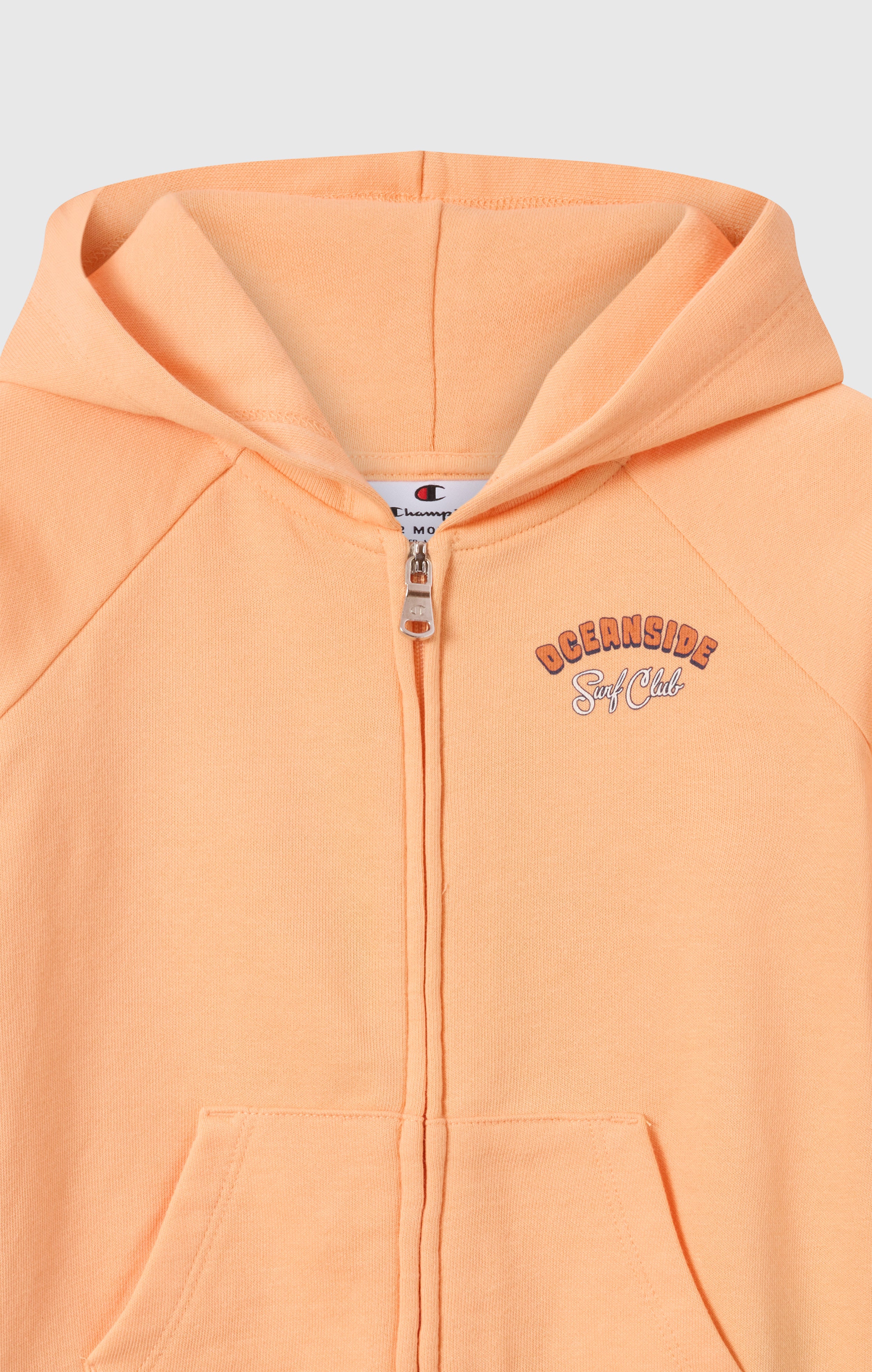 Baby Girl Hoodie and Pants Set