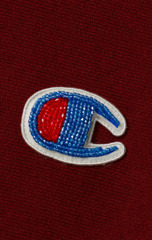 Reverse Weave Women's Hoodie "Undercover"