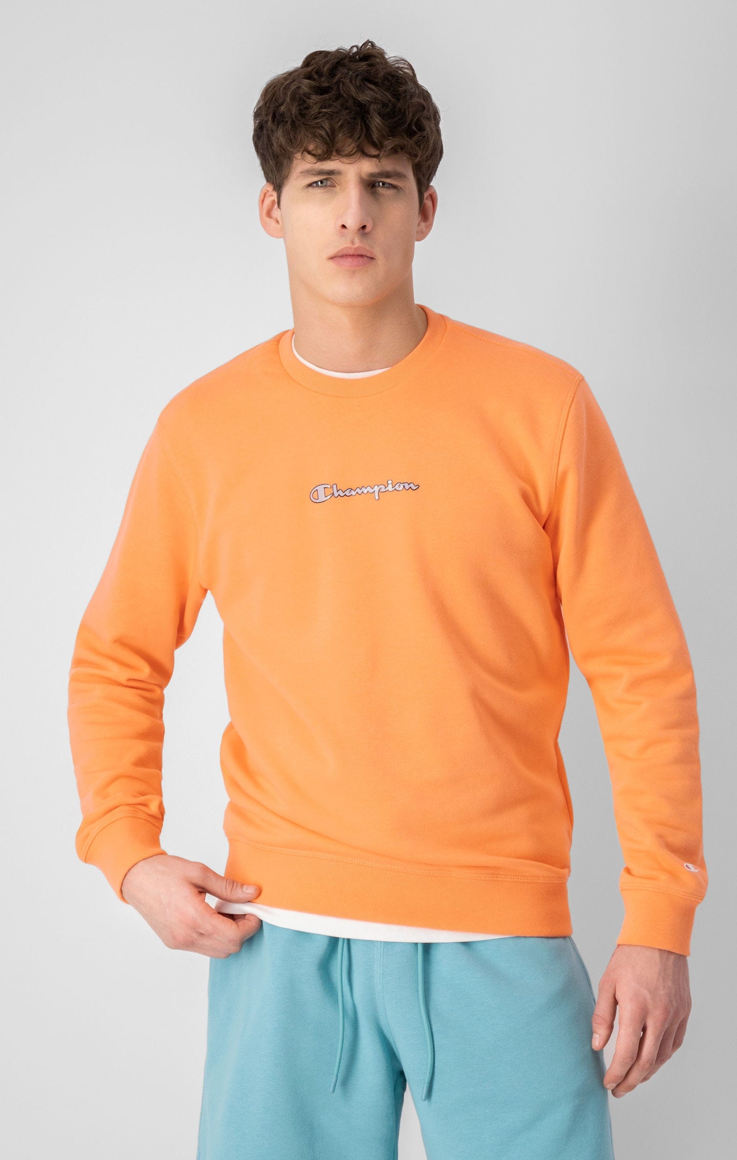 Translucent Script Logo Sweatshirt