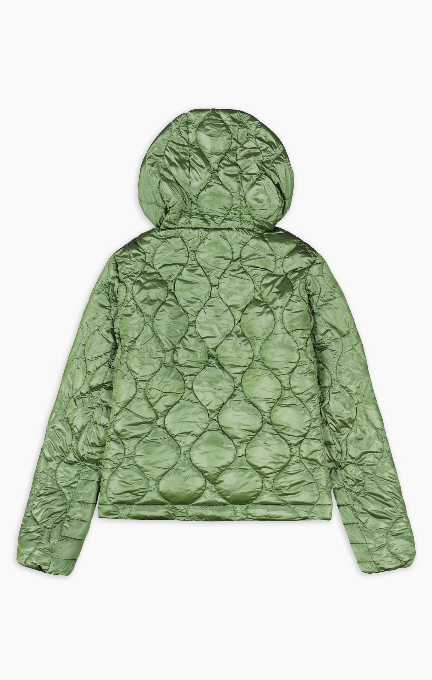 Champion Sport Lifestyle Softshell Foil Print Jacket Nylon Extra Large Military Green