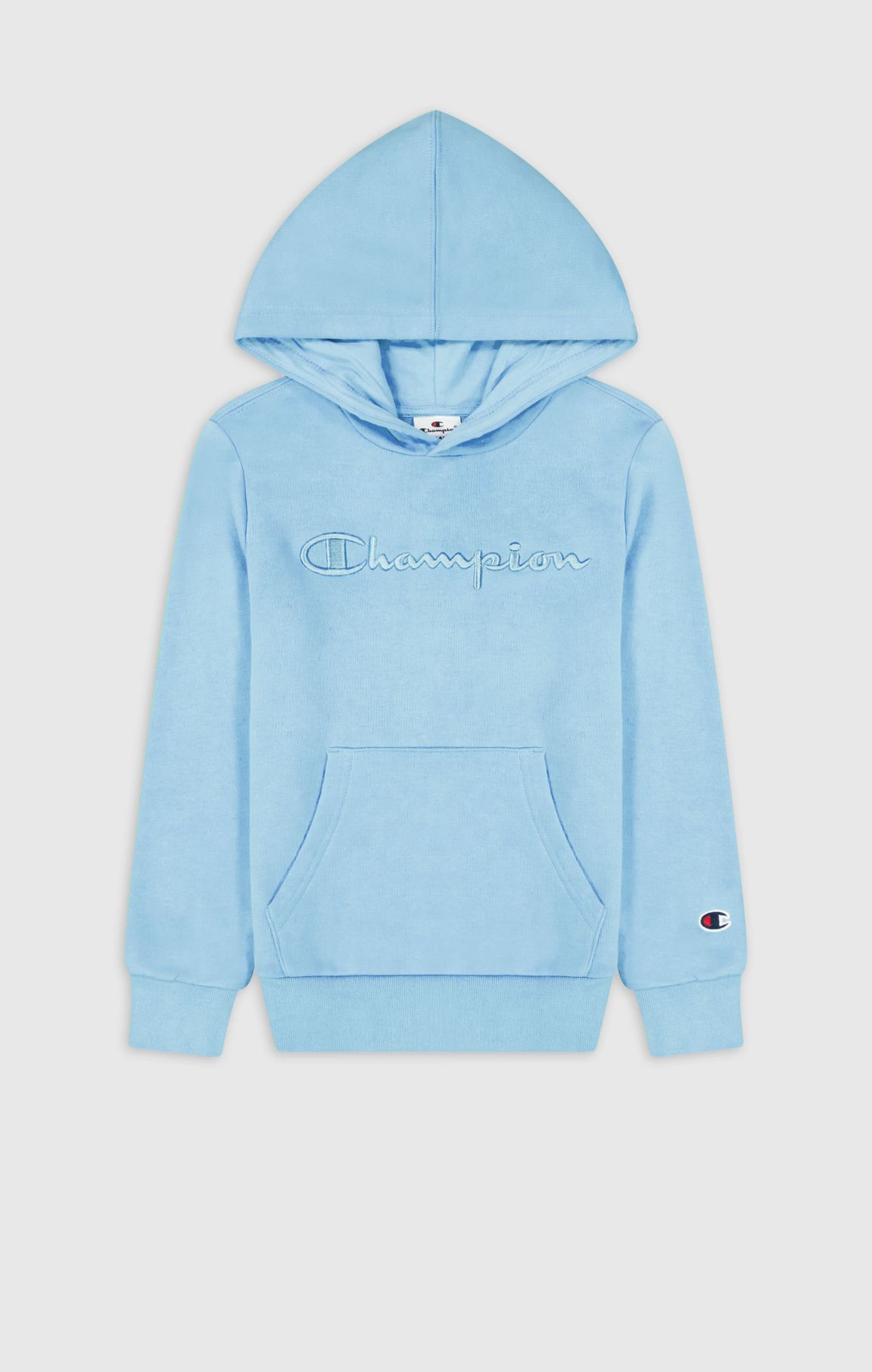 Boys Embroidered Terry Hoodie